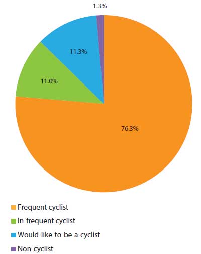 Cyclist Pie Graph